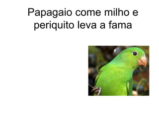 Papagaio come milho e
 periquito leva a fama
 