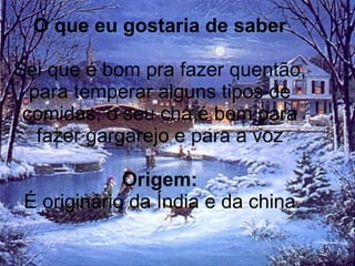 O que eu gostaria de saber Sei que é bom pra fazer quentão, para temperar alguns tipos de comidas, o seu chá é bom para fazer gargarejo e para a voz Origem:   É originário da Índia e da china. 