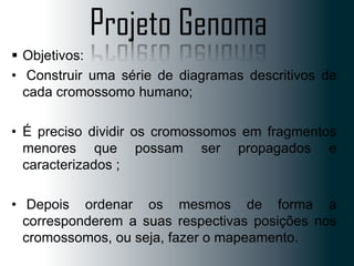 Projeto Genoma
 Objetivos:
• Construir uma série de diagramas descritivos de
cada cromossomo humano;
• É preciso dividir os cromossomos em fragmentos
menores que possam ser propagados e
caracterizados ;

• Depois ordenar os mesmos de forma a
corresponderem a suas respectivas posições nos
cromossomos, ou seja, fazer o mapeamento.

 
