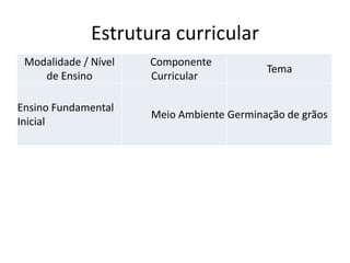 Estrutura curricular