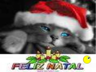 Projeto Gestar Ii 2007