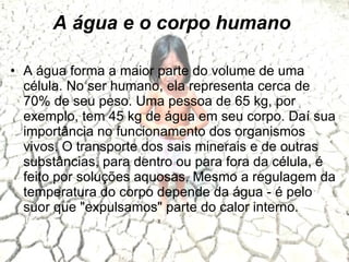 A água e o corpo humano A água forma a maior parte do volume de uma célula. No ser humano, ela representa cerca de 70% de seu peso. Uma pessoa de 65 kg, por exemplo, tem 45 kg de água em seu corpo. Daí sua importância no funcionamento dos organismos vivos. O transporte dos sais minerais e de outras substâncias, para dentro ou para fora da célula, é feito por soluções aquosas. Mesmo a regulagem da temperatura do corpo depende da água - é pelo suor que "expulsamos" parte do calor interno. 