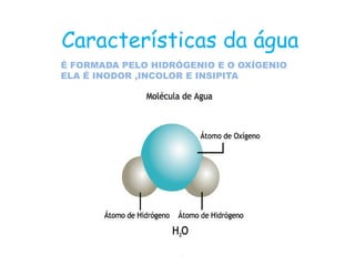 Características da água
É FORMADA PELO HIDRÓGENIO E O OXÍGENIO
ELA É INODOR ,INCOLOR E INSIPITA
 