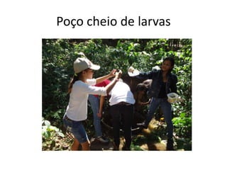 Poço cheio de larvas
 