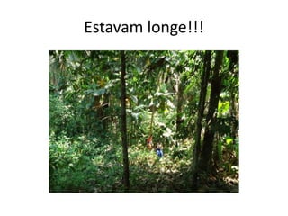 Estavam longe!!!
 