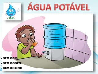 SEM COR
SEM GOSTO
SEM CHEIRO
 