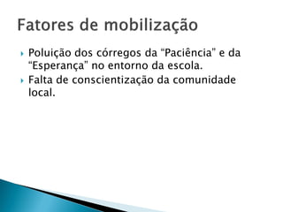  Poluição dos córregos da “Paciência” e da
“Esperança” no entorno da escola.
 Falta de conscientização da comunidade
local.
 