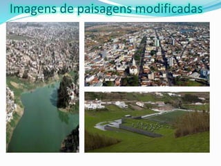 Imagens de paisagens modificadas
 