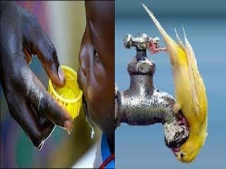 Projetoáguaproinfo314a