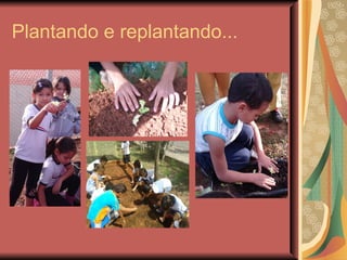 Plantando e replantando...
 