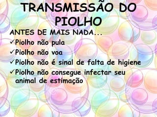TRANSMISSÃO DO
PIOLHO
ANTES DE MAIS NADA...
Piolho não pula
Piolho não voa
Piolho não é sinal de falta de higiene
Piolho não consegue infectar seu
animal de estimação
 