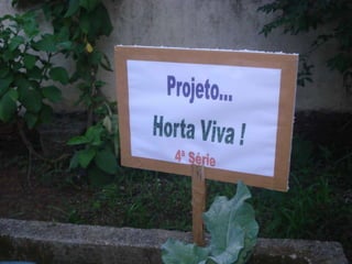 Projeto horta