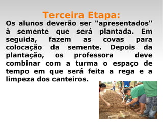 Terceira Etapa: Os alunos deverão ser "apresentados" à semente que será plantada. Em seguida, fazem as covas para colocação da semente. Depois da plantação, os professora  deve combinar com a turma o espaço de tempo em que será feita a rega e a limpeza dos canteiros. 
