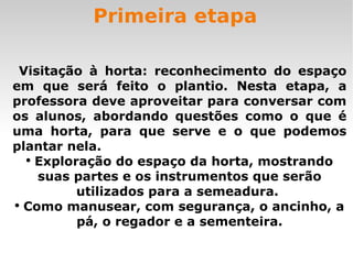 Primeira etapa Visitação à horta: reconhecimento do espaço em que será feito o plantio. Nesta etapa, a professora deve aproveitar para conversar com os alunos, abordando questões como o que é uma horta, para que serve e o que podemos plantar nela. Exploração do espaço da horta, mostrando suas partes e os instrumentos que serão utilizados para a semeadura.  Como manusear, com segurança, o ancinho, a pá, o regador e a sementeira. 
