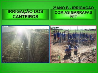 2ºANO B - IRRIGAÇÃO
IRRIGAÇÃO DOS    COM AS GARRAFAS
  CANTEIROS             PET
 