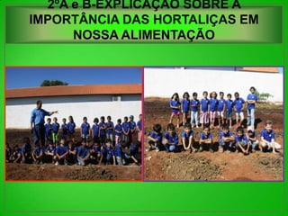 2ºA e B-EXPLICAÇÃO SOBRE A
IMPORTÂNCIA DAS HORTALIÇAS EM
      NOSSA ALIMENTAÇÃO
 