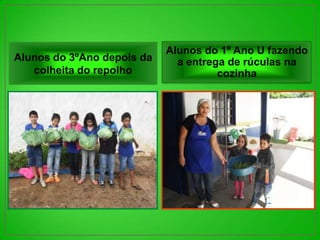 Alunos do 1º Ano U fazendo
Alunos do 3ºAno depois da     a entrega de rúculas na
   colheita do repolho                cozinha
 