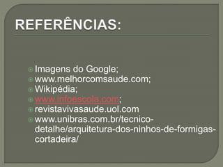  Imagens do Google;
 www.melhorcomsaude.com;
 Wikipédia;
 www.infoescola.com;
 revistavivasaude.uol.com
 www.unibras.com.br/tecnico-
detalhe/arquitetura-dos-ninhos-de-formigas-
cortadeira/
 
