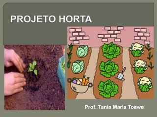 Prof. Tania Maria Toewe
 