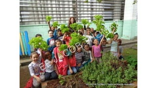 Projeto horta