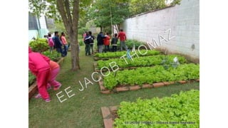 Projeto horta