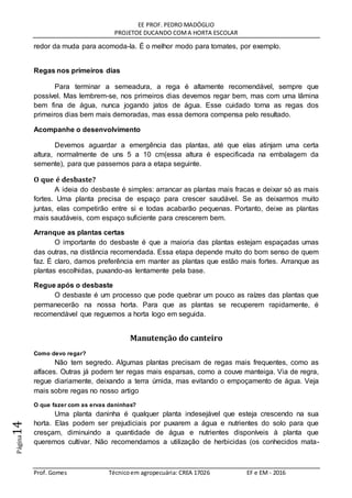 EE PROF. PEDRO MADÓGLIO
PROJETOE DUCANDO COMA HORTA ESCOLAR
Prof. Gomes Técnicoem agropecuária: CREA 17026 EF e EM - 2016
Página14
redor da muda para acomoda-la. É o melhor modo para tomates, por exemplo.
Regas nos primeiros dias
Para terminar a semeadura, a rega é altamente recomendável, sempre que
possível. Mas lembrem-se, nos primeiros dias devemos regar bem, mas com uma lâmina
bem fina de água, nunca jogando jatos de água. Esse cuidado torna as regas dos
primeiros dias bem mais demoradas, mas essa demora compensa pelo resultado.
Acompanhe o desenvolvimento
Devemos aguardar a emergência das plantas, até que elas atinjam uma certa
altura, normalmente de uns 5 a 10 cm(essa altura é especificada na embalagem da
semente), para que passemos para a etapa seguinte.
O que é desbaste?
A ideia do desbaste é simples: arrancar as plantas mais fracas e deixar só as mais
fortes. Uma planta precisa de espaço para crescer saudável. Se as deixarmos muito
juntas, elas competirão entre si e todas acabarão pequenas. Portanto, deixe as plantas
mais saudáveis, com espaço suficiente para crescerem bem.
Arranque as plantas certas
O importante do desbaste é que a maioria das plantas estejam espaçadas umas
das outras, na distância recomendada. Essa etapa depende muito do bom senso de quem
faz. É claro, damos preferência em manter as plantas que estão mais fortes. Arranque as
plantas escolhidas, puxando-as lentamente pela base.
Regue após o desbaste
O desbaste é um processo que pode quebrar um pouco as raízes das plantas que
permanecerão na nossa horta. Para que as plantas se recuperem rapidamente, é
recomendável que reguemos a horta logo em seguida.
Manutenção do canteiro
Como devo regar?
Não tem segredo. Algumas plantas precisam de regas mais frequentes, como as
alfaces. Outras já podem ter regas mais esparsas, como a couve manteiga. Via de regra,
regue diariamente, deixando a terra úmida, mas evitando o empoçamento de água. Veja
mais sobre regas no nosso artigo
O que fazer com as ervas daninhas?
Uma planta daninha é qualquer planta indesejável que esteja crescendo na sua
horta. Elas podem ser prejudiciais por puxarem a água e nutrientes do solo para que
cresçam, diminuindo a quantidade de água e nutrientes disponíveis à planta que
queremos cultivar. Não recomendamos a utilização de herbicidas (os conhecidos mata-
 