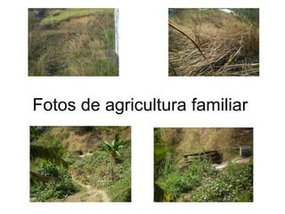 Fotos de agricultura familiar  
