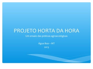 PROJETO HORTA DA HORA
Um ensaio das práticas agroecológicas
Água Boa – MT
2013

 