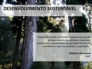 “Desenvolvimento sustentável é aquele que atende
as necessidades das gerações atuais sem
comprometer a capacidade das gerações futuras de
atenderem a suas necessidades e aspirações.”
Relatório Brundland
1987
DESENVOLVIMENTO SUSTENTÁVEL
 