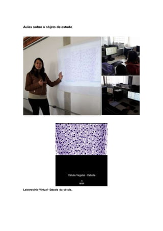 Aulas sobre o objeto de estudo
Laboratório Virtual- Estudo da célula.
 