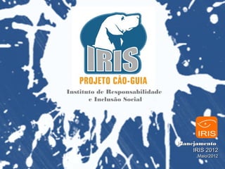Instituto de Responsabilidade
       e Inclusão Social




                                Planejamento
                                     IRIS 2012
                                       Maio/2012
 