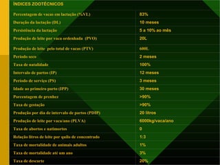 ÍNDICES ZOOTÉCNICOS
 
Percentagem de vacas em lactação (%VL) 83%
Duração da lactação (DL) 10 meses
Persistência da lactação 5 a 10% ao mês
Produção de leite por vaca ordenhada (PVO)
 
20L
Produção de leite pelo total de vacas (PTV) 600L
Período seco 2 meses
Taxa de natalidade 100%
Intervalo de partos (IP) 12 meses
Período de serviço (PS) 3 meses
Idade ao primeiro parto (IPP) 30 meses
Porcentagem de prenhez >90%
Taxa de gestação >90%
Produção por dia de intervalo de partos (PDIP) 20 litros
Produção de leite por vaca/ano (PLVA) 6000kg/vaca/ano
Taxa de abortos e natimortos 0
Relação litros de leite por quilo de concentrado 1:3
Taxa de mortalidade de animais adultos 1%
Taxa de mortalidade até um ano 3%
Taxa de descarte 20%
 