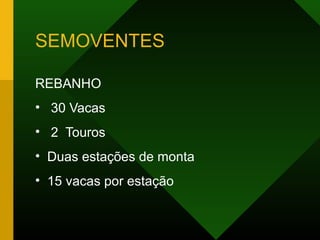 SEMOVENTES
REBANHO
• 30 Vacas
• 2 Touros
• Duas estações de monta
• 15 vacas por estação
 