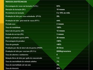 ÍNDICES ZOOTÉCNICOS
 
Percentagem de vacas em lactação (%VL) 83%
Duração da lactação (DL) 10 meses
Persistência da lactação 5 a 10% ao mês
Produção de leite por vaca ordenhada (PVO)
 
20L
Produção de leite pelo total de vacas (PTV) 600L
Período seco 2 meses
Taxa de natalidade 100%
Intervalo de partos (IP) 12 meses
Período de serviço (PS) 3 meses
Idade ao primeiro parto (IPP) 30 meses
Porcentagem de prenhez >90%
Taxa de gestação >90%
Produção por dia de intervalo de partos (PDIP) 20 litros
Produção de leite por vaca/ano (PLVA) 6000kg/vaca/ano
Taxa de abortos e natimortos 0
Relação litros de leite por quilo de concentrado 1:3
Taxa de mortalidade de animais adultos 1%
Taxa de mortalidade até um ano 3%
Taxa de descarte 20%
 