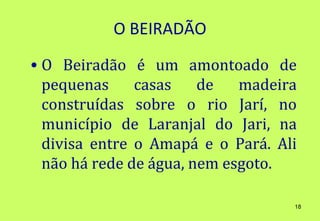 O BEIRADÃO
• O Beiradão é um amontoado de
  pequenas     casas    de   madeira
  construídas sobre o rio Jarí, no
  município de Laranjal do Jari, na
  divisa entre o Amapá e o Pará. Ali
  não há rede de água, nem esgoto.

                                   18
 