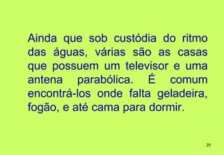 Ainda que sob custódia do ritmo
das águas, várias são as casas
que possuem um televisor e uma
antena parabólica. É comum
encontrá-los onde falta geladeira,
fogão, e até cama para dormir.


                                 20
 