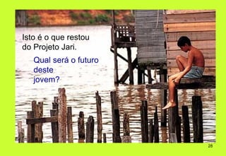 Isto é o que restou
do Projeto Jari.
   Qual será o futuro
   deste
   jovem?




                        28
 