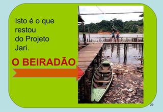 Isto é o que
restou
do Projeto
Jari.

O BEIRADÃO



               29
 