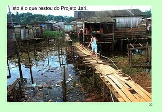 Isto é o que restou do Projeto Jari.




                                       30
 
