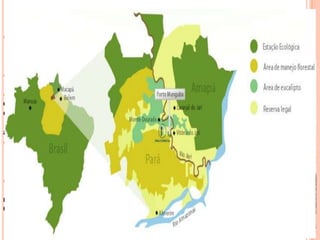 O PROJETO JARI HOJE
o Capacidade de produção atual –
350.000 t/ano
de celulose branqueada de eucalipto;
o Área ocupada – 1,365 mi/hectares;
o Em 2011 foi anunciado os planos de
expansão do projeto para 1,5 milhão
de t/ano – sócio estratégico ou oferta
publica de ações, o que deve ocorrer
a partir de 2015;
o União dos negócios de celulose com
os de embalagens e papelão – Jari
celulose – Papel e embalagens
o Jari celulose- papel e embalagem, a
ouro verde (beneficia produtos não
madereiros - castanha do Pará) e a
Orsa florestal;
 