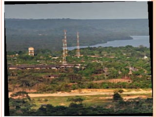 O PROJETO JARI HOJE
o O grupo Orsa tem como tática atrativa o bom relacionamento com ao
comunidades que vivem na floresta amazônica – Organizações ambientais e
trabalhadores (unidades de geração de energia, 70 k de ferrovias, portos,
aeroportos e uma cidade planejada - Ludwing);
“ Se não levarmos desenvolvimento à região e não oferecermos condições de
permanência das comunidades não poderemos continuar ali.”
Sergio Amoroso
o Certificado FSC (forest stewardship council – Conselho de Manejo Florestal)
em 2004 – Manejo florestal de 800 mil hectares de floresta = Manejo
Florestal certificado = 545.000 mil hec. Pará – sendo que o projeto total é de
1,3 mi/ hec. – 60% da area de Sergipe.
o Manutenção do selo
• Redução de impactos na floresta;
• Segurança dos trabalhadores – equipamentos
• 2 rotas de fuga com sentidos inversos a da queda da arvore;
• Código de rastreamento na madeiras
 