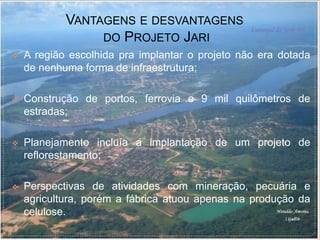 VANTAGENS E DESVANTAGENS
DO PROJETO JARI
 A região escolhida pra implantar o projeto não era dotada
de nenhuma forma de infraestrutura;
 Construção de portos, ferrovia e 9 mil quilômetros de
estradas;
 Planejamento incluía a implantação de um projeto de
reflorestamento;
 Perspectivas de atividades com mineração, pecuária e
agricultura, porém a fábrica atuou apenas na produção da
celulose.
 