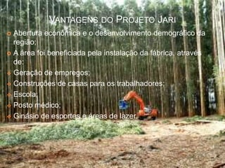 VANTAGENS DO PROJETO JARI
 Abertura econômica e o desenvolvimento demográfico da
região;
 A área foi beneficiada pela instalação da fábrica, através
de:
 Geração de empregos;
 Construções de casas para os trabalhadores;
 Escola;
 Posto médico;
 Ginásio de esportes e áreas de lazer.
 