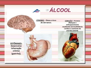 ÁLCOOL  