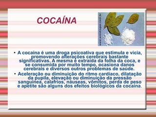 COCAÍNA  A cocaína é uma droga psicoativa que estimula e vicia, promovendo alterações cerebrais bastante significativas. A mesma é extraída da folha da coca, e se consumida por muito tempo, ocasiona danos cerebrais e diversos outros problemas de saúde.  Aceleração ou diminuição do ritmo cardíaco, dilatação da pupila, elevação ou diminuição da pressão sanguínea, calafrios, náuseas, vômitos, perda de peso e apetite são alguns dos efeitos biológicos da cocaína . 