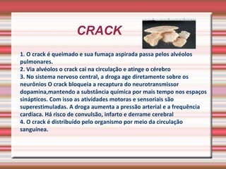 CRACK  1. O crack é queimado e sua fumaça aspirada passa pelos alvéolos pulmonares. 2. Via alvéolos o crack cai na circulação e atinge o cérebro 3. No sistema nervoso central, a droga age diretamente sobre os neurônios O crack bloqueia a recaptura do neurotransmissor dopamina,mantendo a substância química por mais tempo nos espaços sinápticos. Com isso as atividades motoras e sensoriais são superestimuladas. A droga aumenta a pressão arterial e a frequência cardíaca. Há risco de convulsão, infarto e derrame cerebral 4. O crack é distribuído pelo organismo por meio da circulação sanguínea. 