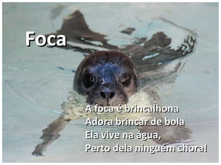 A foca é brincalhonaA foca é brincalhona
Adora brincar de bolaAdora brincar de bola
Ela vive na água,Ela vive na água,
Perto dela ninguém chora!Perto dela ninguém chora!
FocaFoca
 