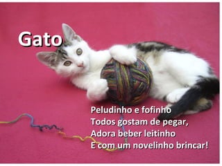 Peludinho e fofinhoPeludinho e fofinho
Todos gostam de pegar,Todos gostam de pegar,
Adora beber leitinhoAdora beber leitinho
E com um novelinho brincar!E com um novelinho brincar!
GatoGato
 