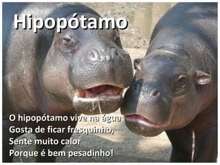 O hipopótamo vive na águaO hipopótamo vive na água
Gosta de ficar fresquinho,Gosta de ficar fresquinho,
Sente muito calorSente muito calor
Porque é bem pesadinho!Porque é bem pesadinho!
HipopótamoHipopótamo
 