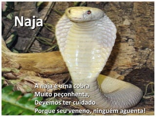 A naja é uma cobraA naja é uma cobra
Muito peçonhenta,Muito peçonhenta,
Devemos ter cuidadoDevemos ter cuidado
Porque seu veneno, ninguém aguenta!Porque seu veneno, ninguém aguenta!
NajaNaja
 